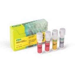 ReadiLink 647/674 Antibody Labeling Kit - Bio-Rad - Life Sciences