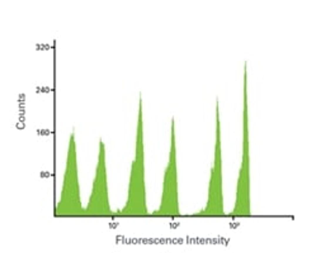 Flow Cytometer Calibration Beads - Takara Bio - Life Sciences
