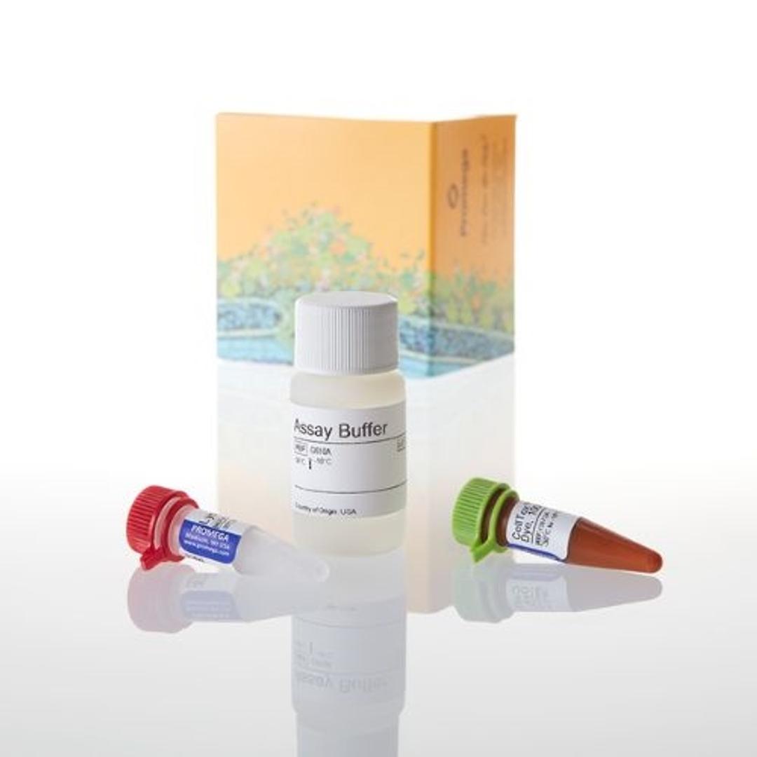 CellTox™ Green Cytotoxicity Assay - Promega Corp. - Life Sciences