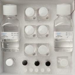 FiberPrep DNA Extraction kit - Genomic Vision