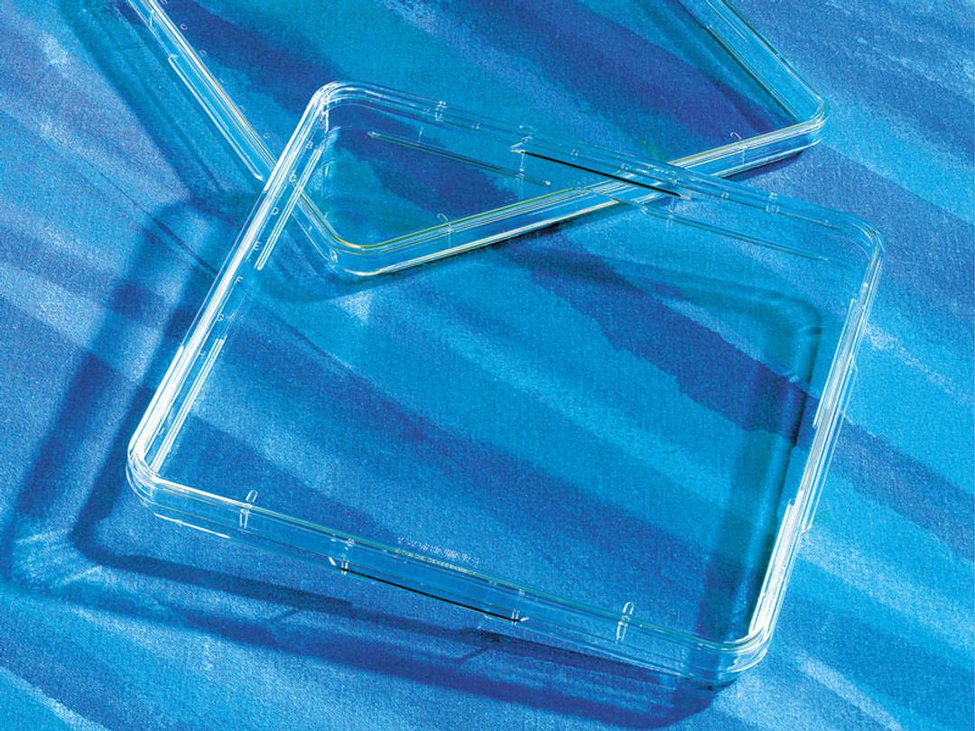 Corning® 500cm² Square TC-treated Culture Dish - Corning Life Sciences