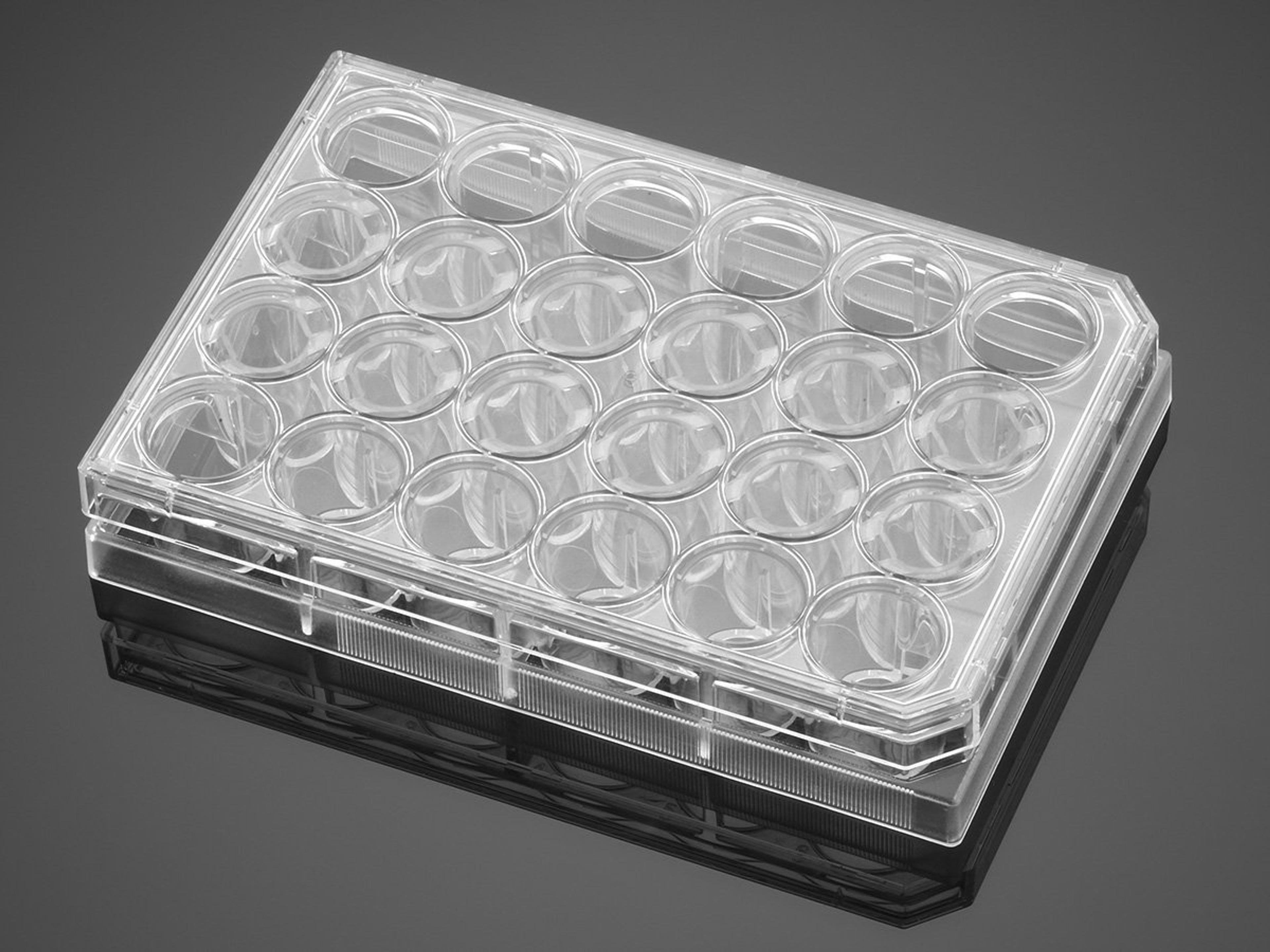Falcon® 24-well Clear Flat Bottom TC-treated Multiwell Cell Culture Plate, with Lid, Sterile, 10/Pack, 60/Case - Corning Life Sciences - Life Sciences