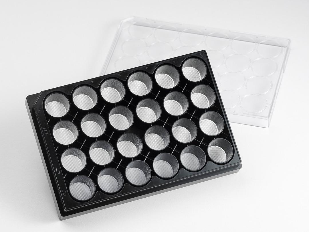 Corning® Elplasia® 24-well Black/Clear Round Bottom Ultra-Low Attachment, Microcavity Plate, with Lid - Corning Life Sciences