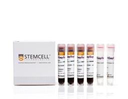 EasySep™ Direct Human Naïve B Cell Isolation Kit - STEMCELL Technologies Inc. - Life Sciences