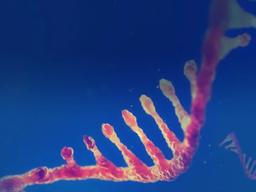 Custom DNA Oligo - GenScript - Life Sciences