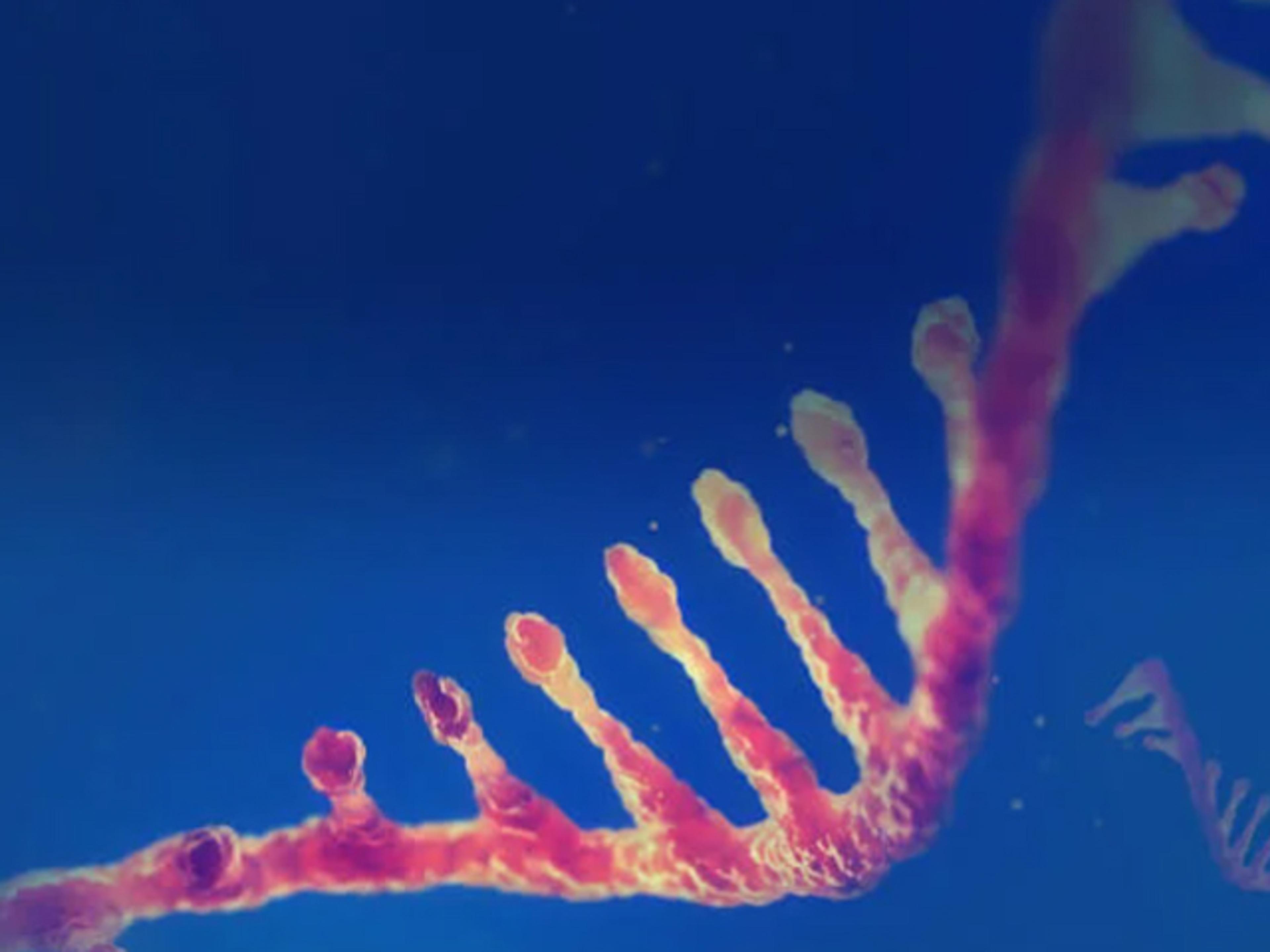 Custom DNA Oligo - GenScript - Life Sciences