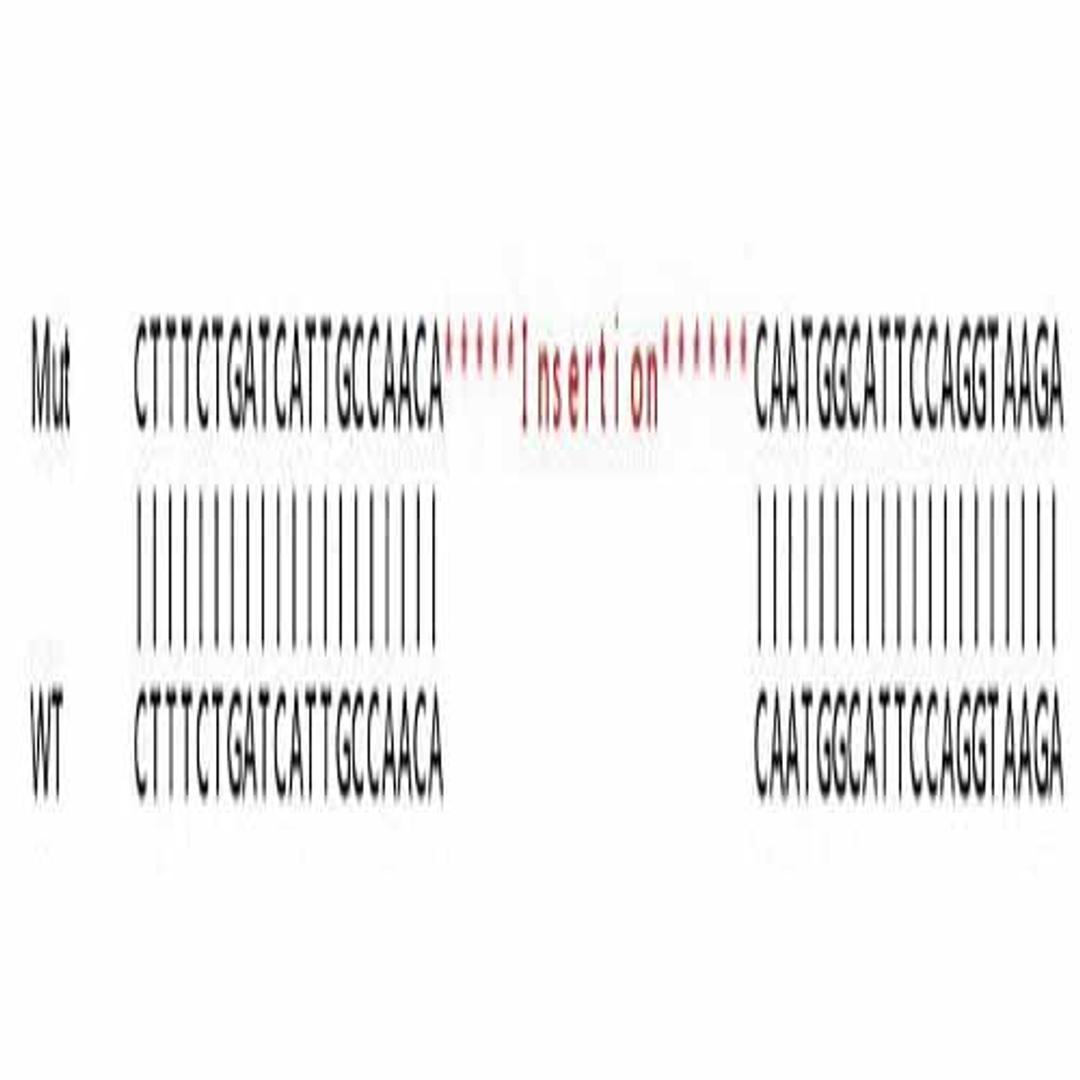 Human SCD (SCD1) knockout HeLa cell line - Abcam plc - Life Sciences