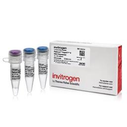 Platinum™ SuperFi II DNA Polymerase - Thermo Fisher Scientific - Life Sciences