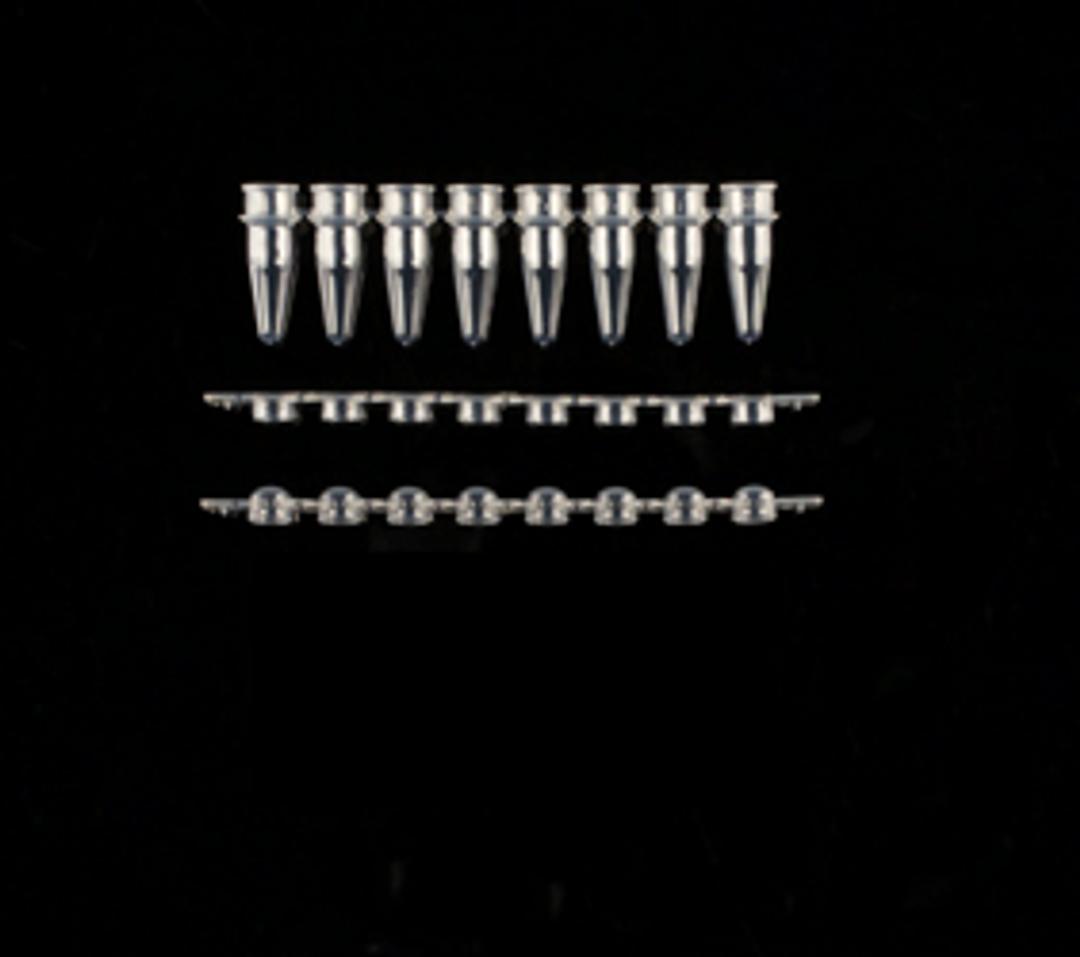 Strip PCR Tubes & Caps - SSI - Scientific Specialties, Inc - Life Sciences