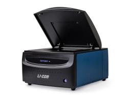 Odyssey DLx Infrared Imaging System - LICORbio - Life Sciences