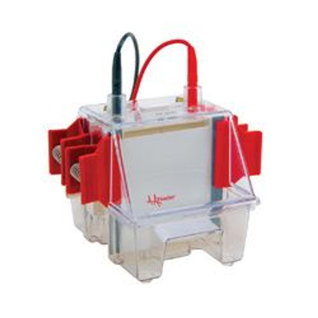 SE260 Deluxe Mighty Small Mini Vertical Unit - Hoefer Inc. Europe - Life Sciences