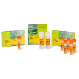 Reliance One-Step Multiplex RT-qPCR Supermix - Bio-Rad - Life Sciences