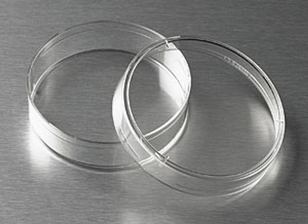 Corning® CellBIND® Surface 60 mm Culture Dish - Corning Life Sciences - Life Sciences