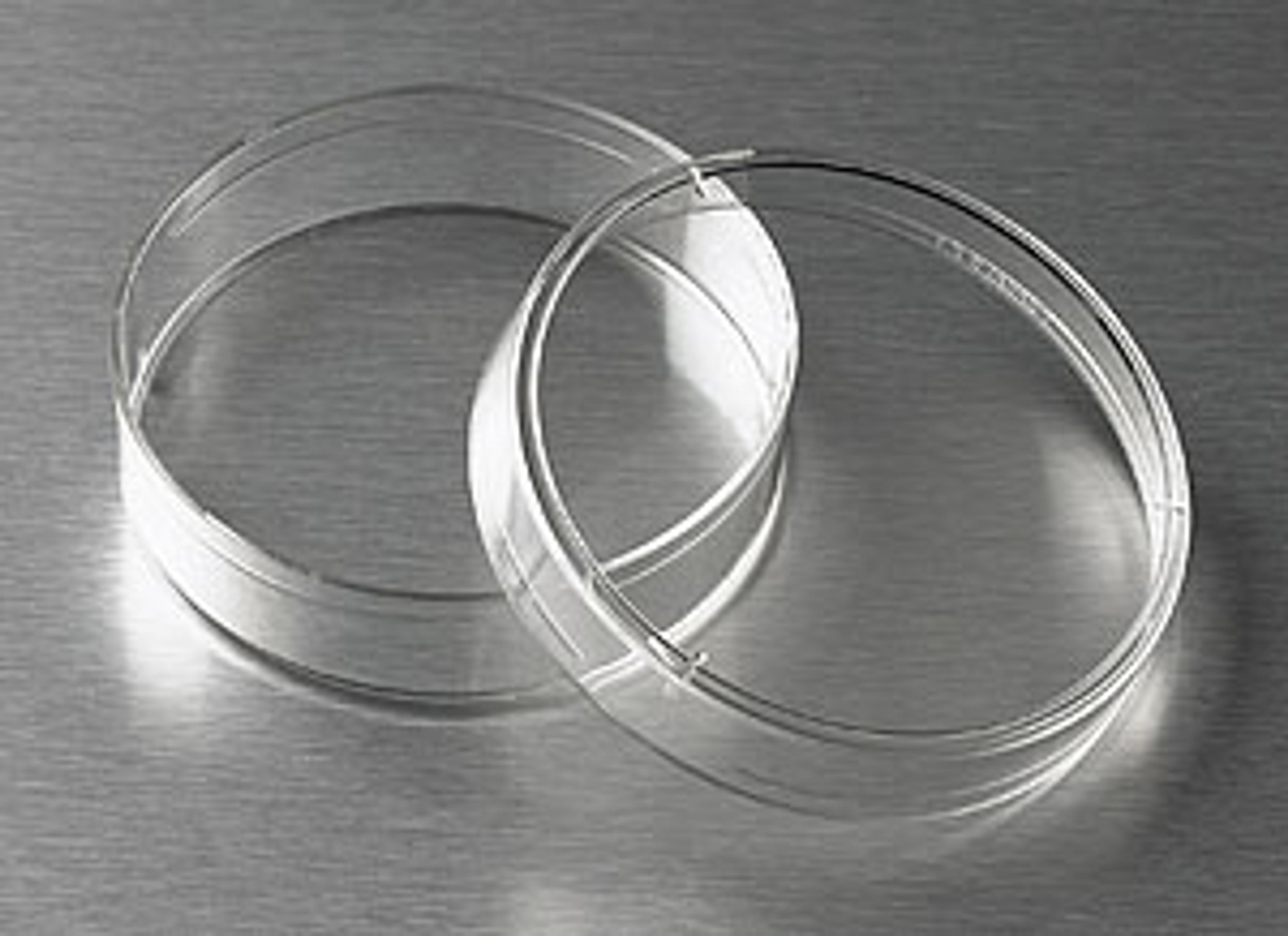 Corning® CellBIND® Surface 60 mm Culture Dish - Corning Life Sciences - Life Sciences