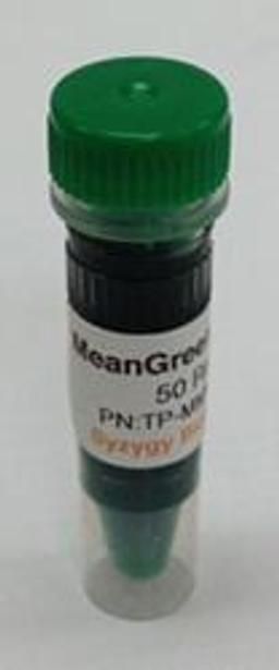 FlashTaq 2x MeanGreen Master Mix - Syzygy Biotech - Life Sciences
