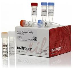 Invitrogen™ GeneArt™ Genomic Cleavage Detection Kit - Thermo Fisher Scientific