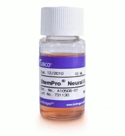 Gibco™ StemPro™ Neural Supplement - Thermo Fisher Scientific - Life Sciences