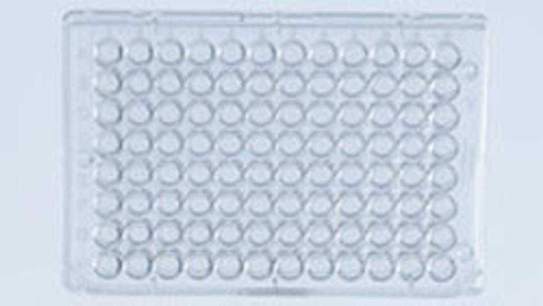 Ni-NTA HisSorb Strips (24) - QIAGEN