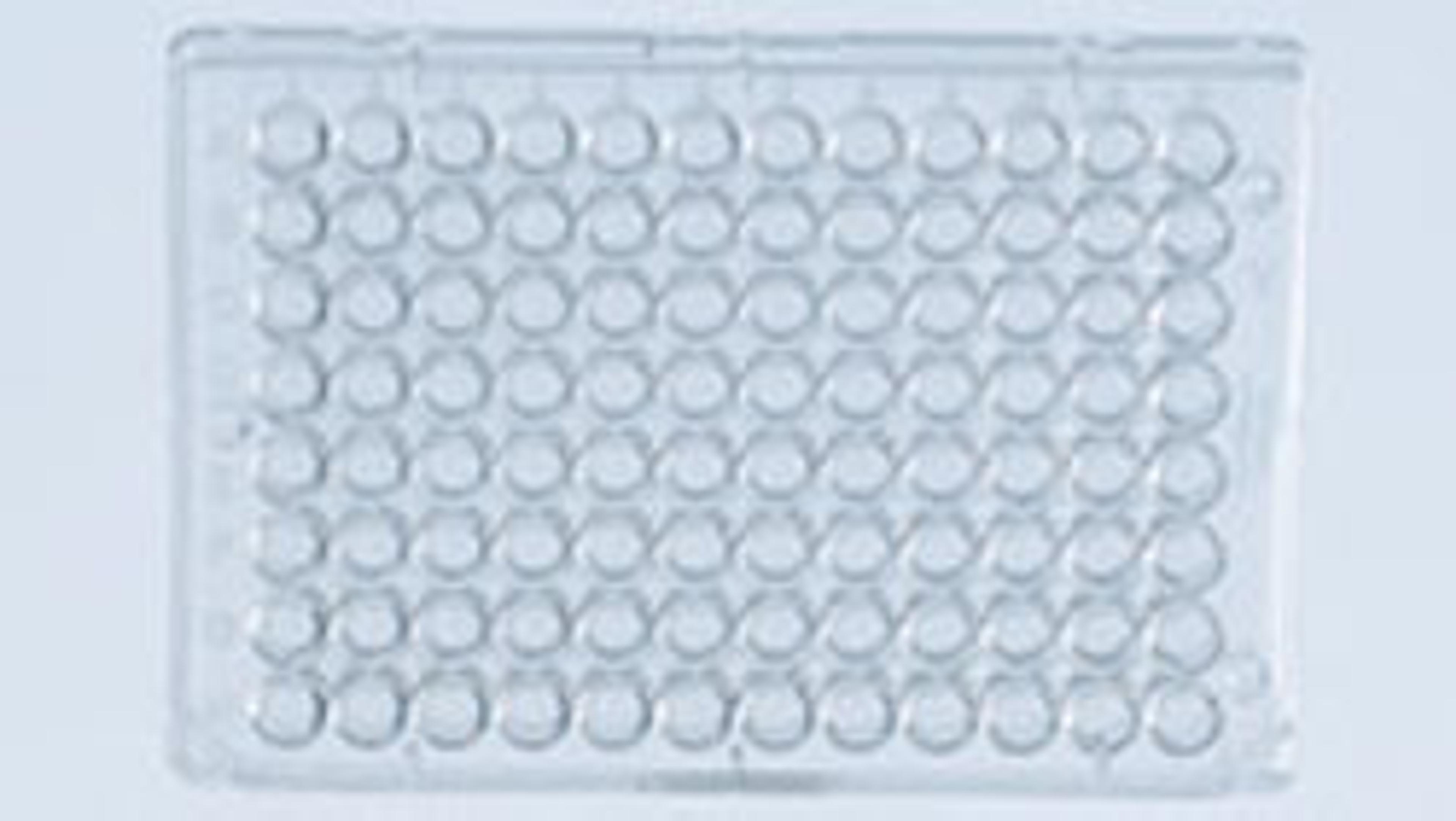 Ni-NTA HisSorb Strips (24) - QIAGEN