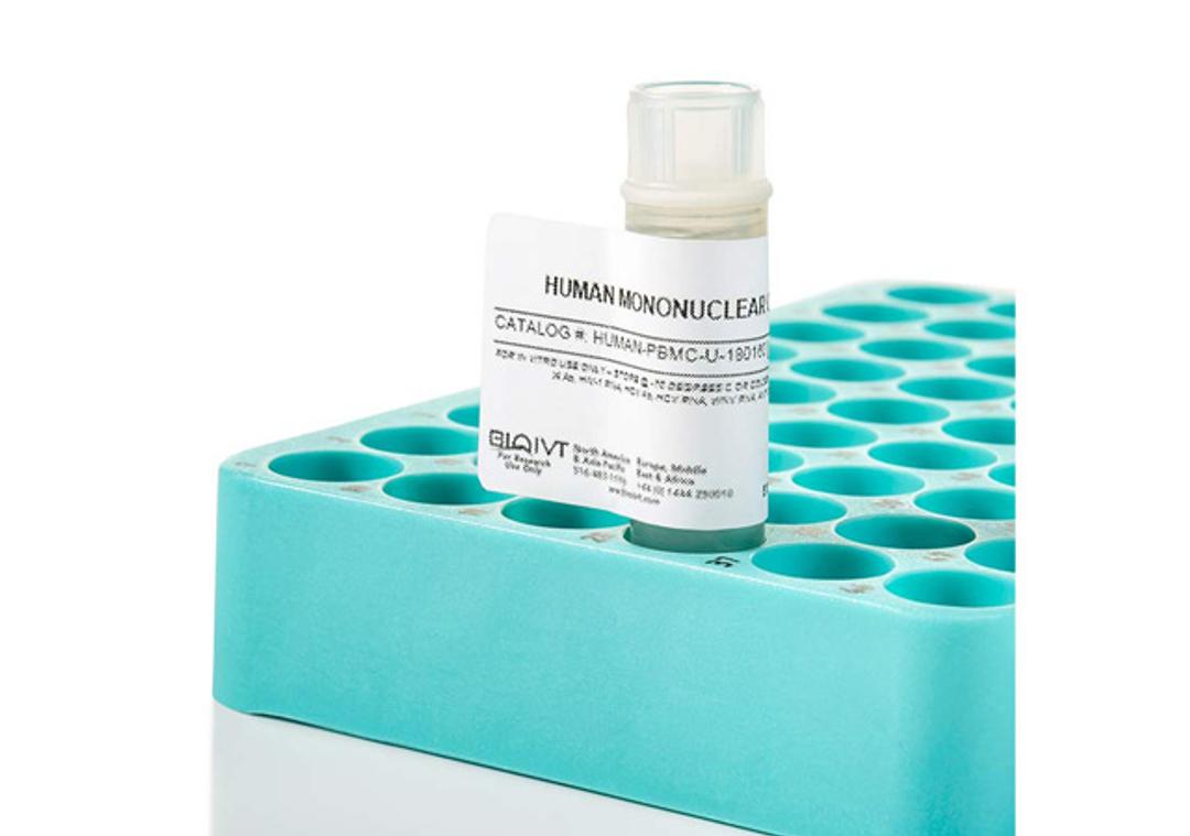 Isolated Immune Cells - BioIVT - Drug Discovery & Development