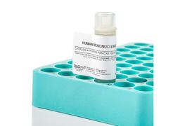 Isolated Immune Cells - BioIVT - Drug Discovery & Development