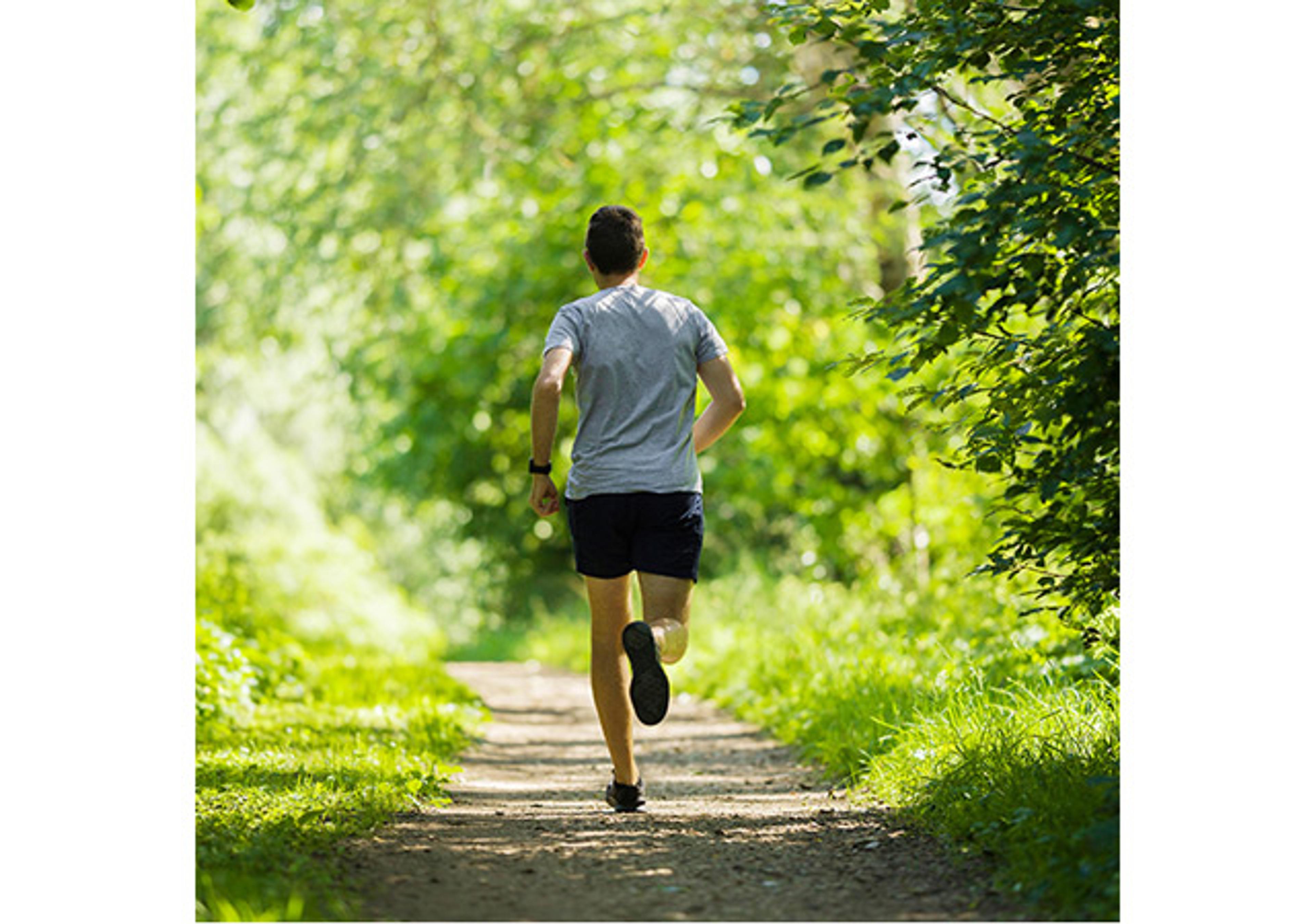 Metabolomics Mixes and Kits - Cambridge Isotope Laboratories - Life Sciences