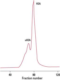 TOYOPEARL HW-50S - Tosoh Bioscience - Separations - Separations