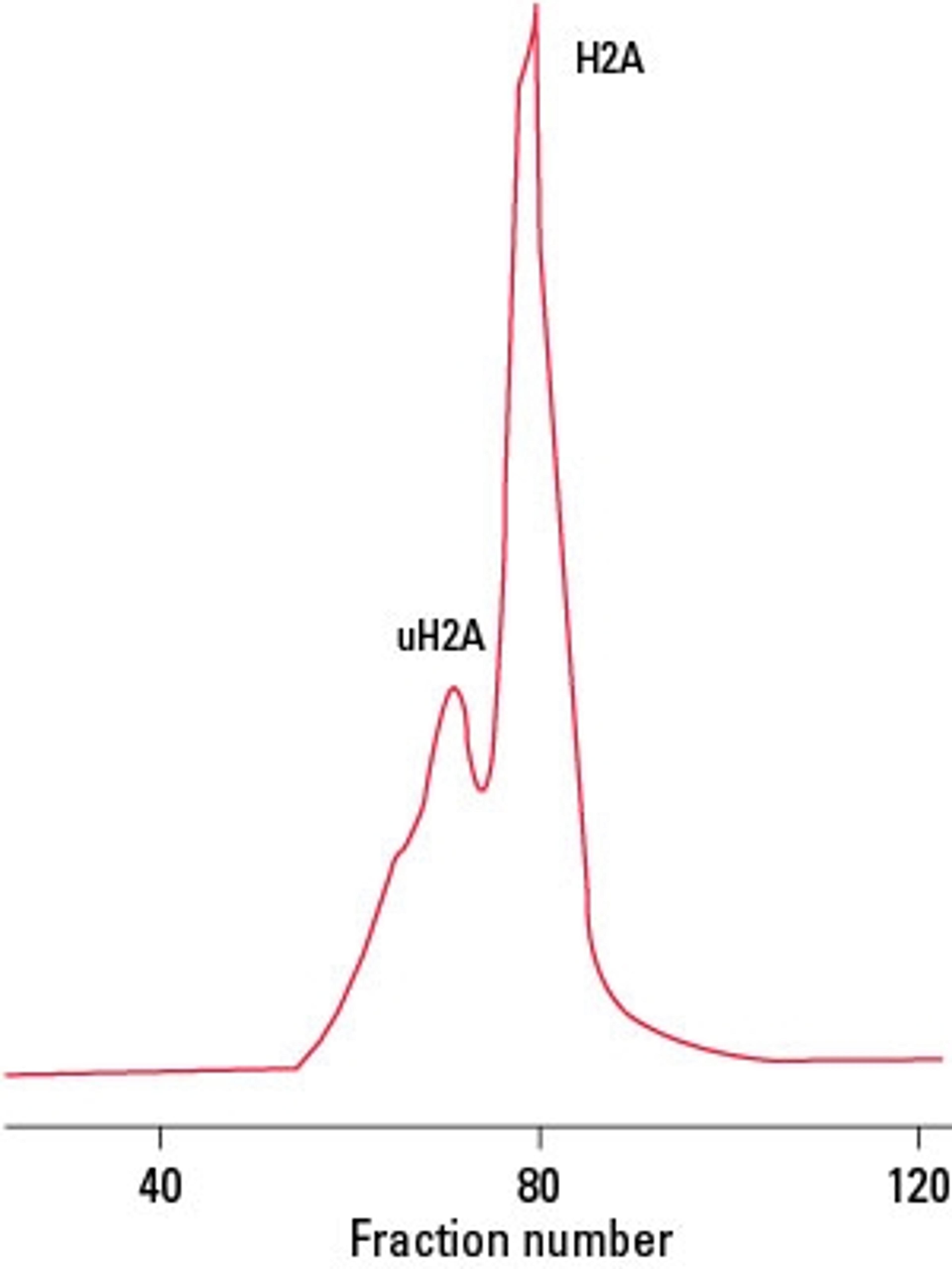 TOYOPEARL HW-50S - Tosoh Bioscience - Separations - Separations