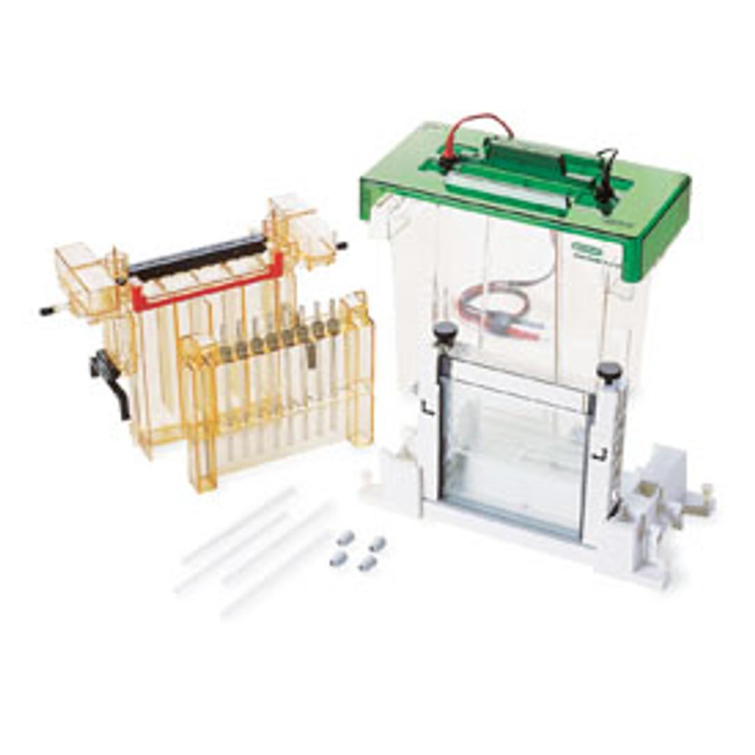 PROTEAN II xi 2-D Cell #1651931 - Bio-Rad - Life Sciences