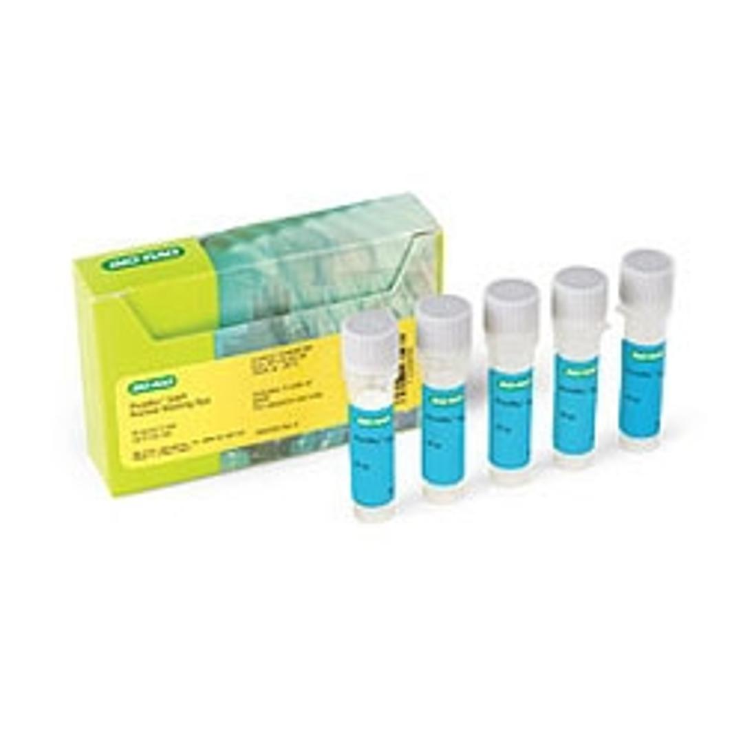 PureBlu™ DAPI Nuclear Staining Dye - Bio-Rad - Life Sciences