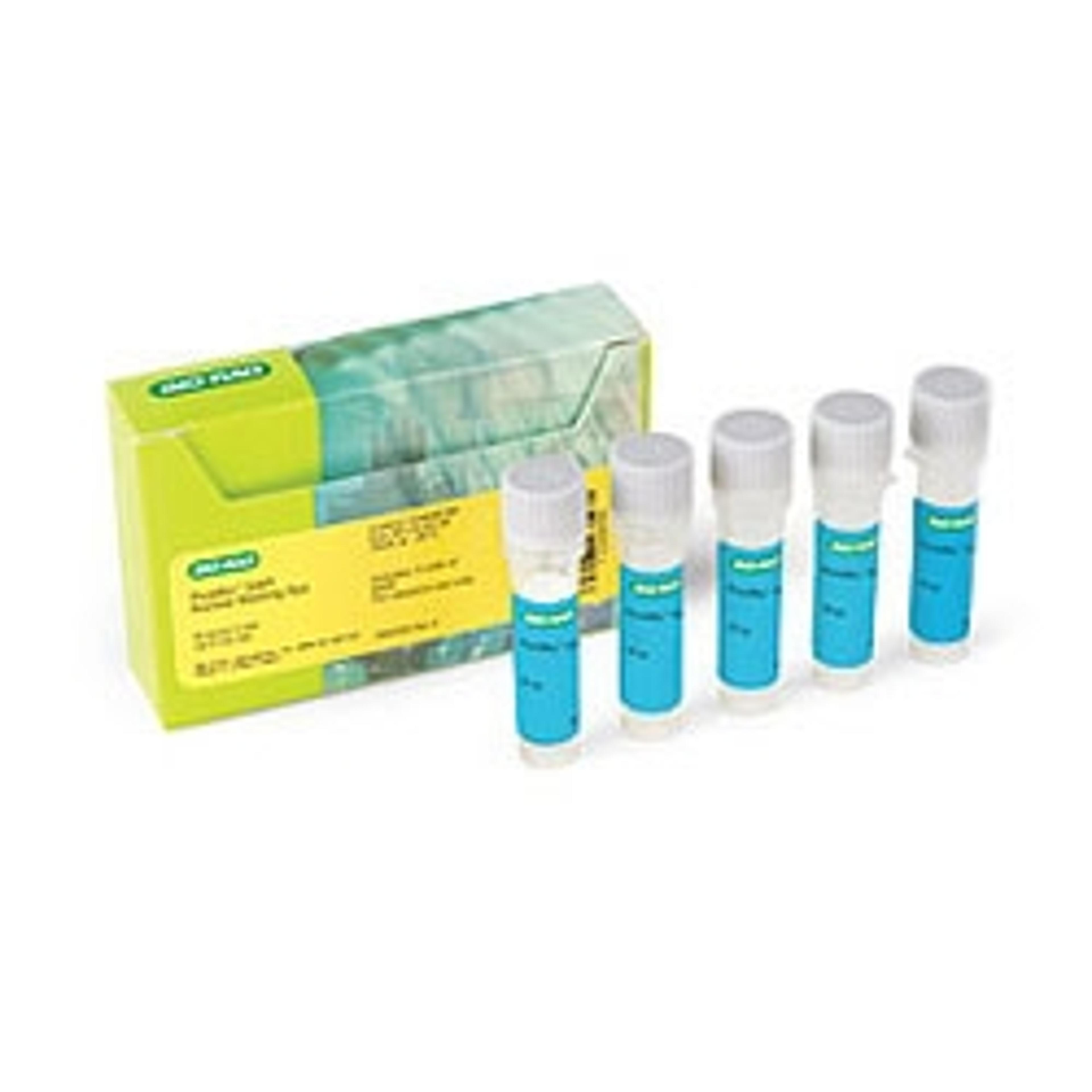 PureBlu™ DAPI Nuclear Staining Dye - Bio-Rad - Life Sciences