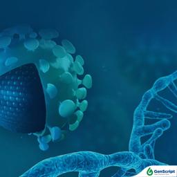 IVT mRNA Production - GenScript - Life Sciences