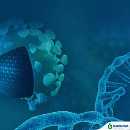 IVT mRNA Production - GenScript - Life Sciences