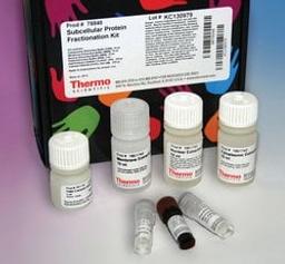 Thermo Scientific™ Subcellular Protein Fractionation Kit for Cultured Cells - Thermo Fisher Scientific - Life Sciences