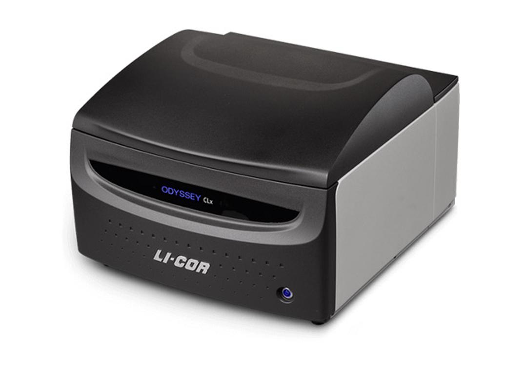 Odyssey CLx Infrared Imaging System - LICORbio - Spectroscopy