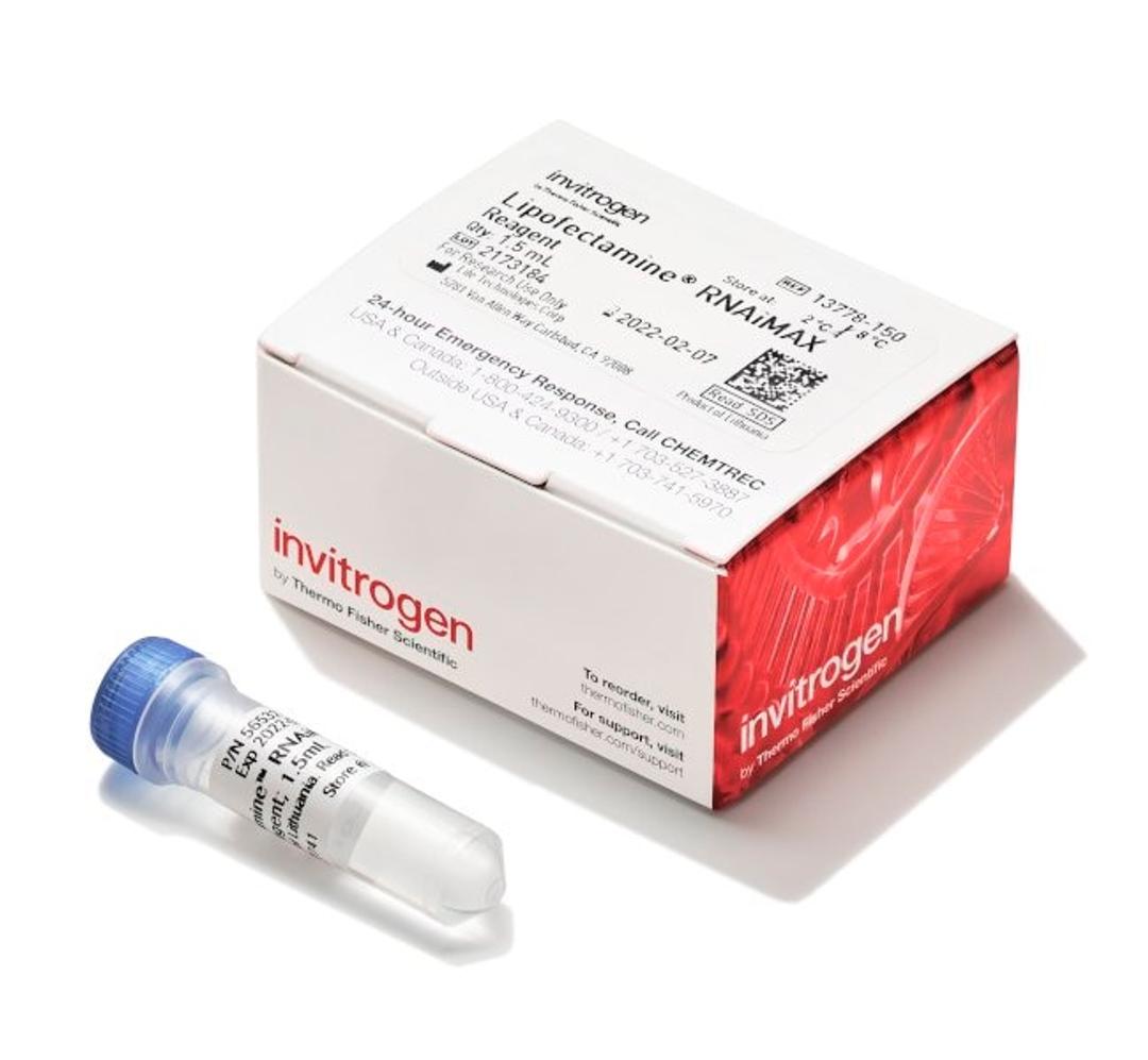 Invitrogen™ Lipofectamine™ RNAiMAX Transfection Reagent - Thermo Fisher Scientific