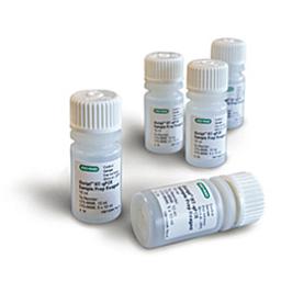 iScript™ RT-qPCR Sample Preparation Reagent, 500 reactions - Bio-Rad - Life Sciences