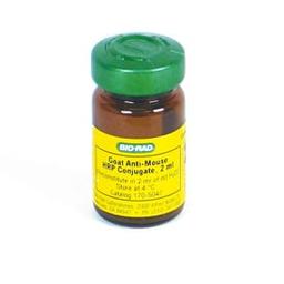 Immun-Star Goat Anti-Mouse (GAM)-HRP Conjugate - Bio-Rad - Life Sciences