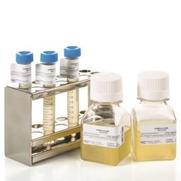 Normal Human Plasma - BioIVT - Life Sciences