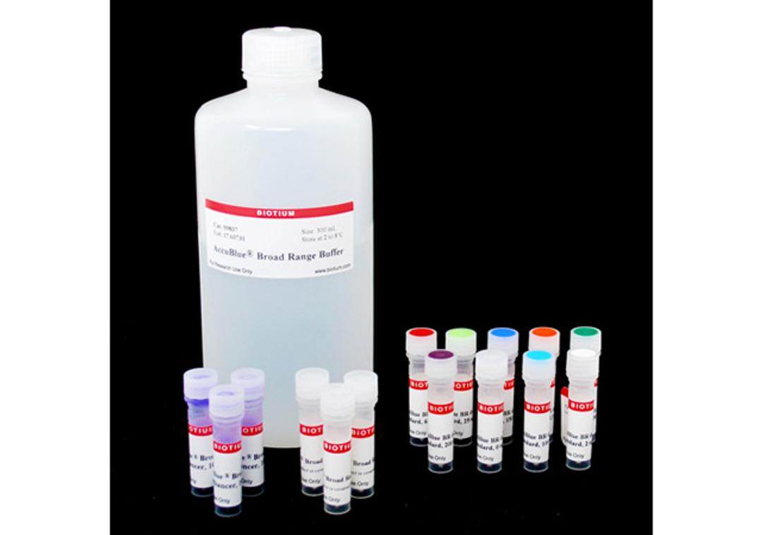 AccuBlue® Broad Range dsDNA Quantitation Kit with DNA Standards - Biotium - Life Sciences