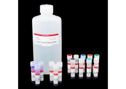 AccuBlue® Broad Range dsDNA Quantitation Kit with DNA Standards - Biotium - Life Sciences