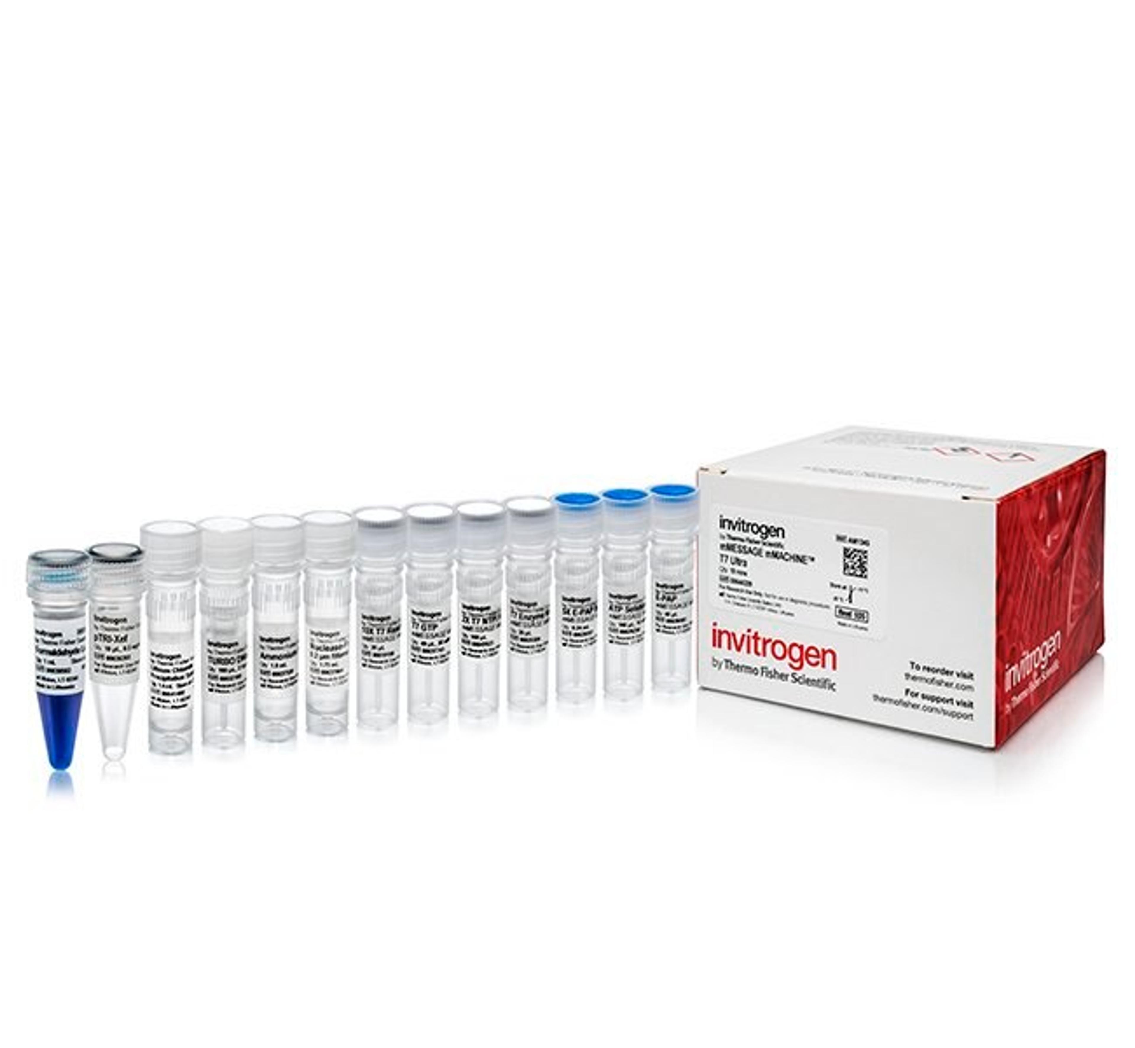 Invitrogen™ mMESSAGE mMACHINE™ T7 ULTRA Transcription Kit - Thermo Fisher Scientific - Life Sciences