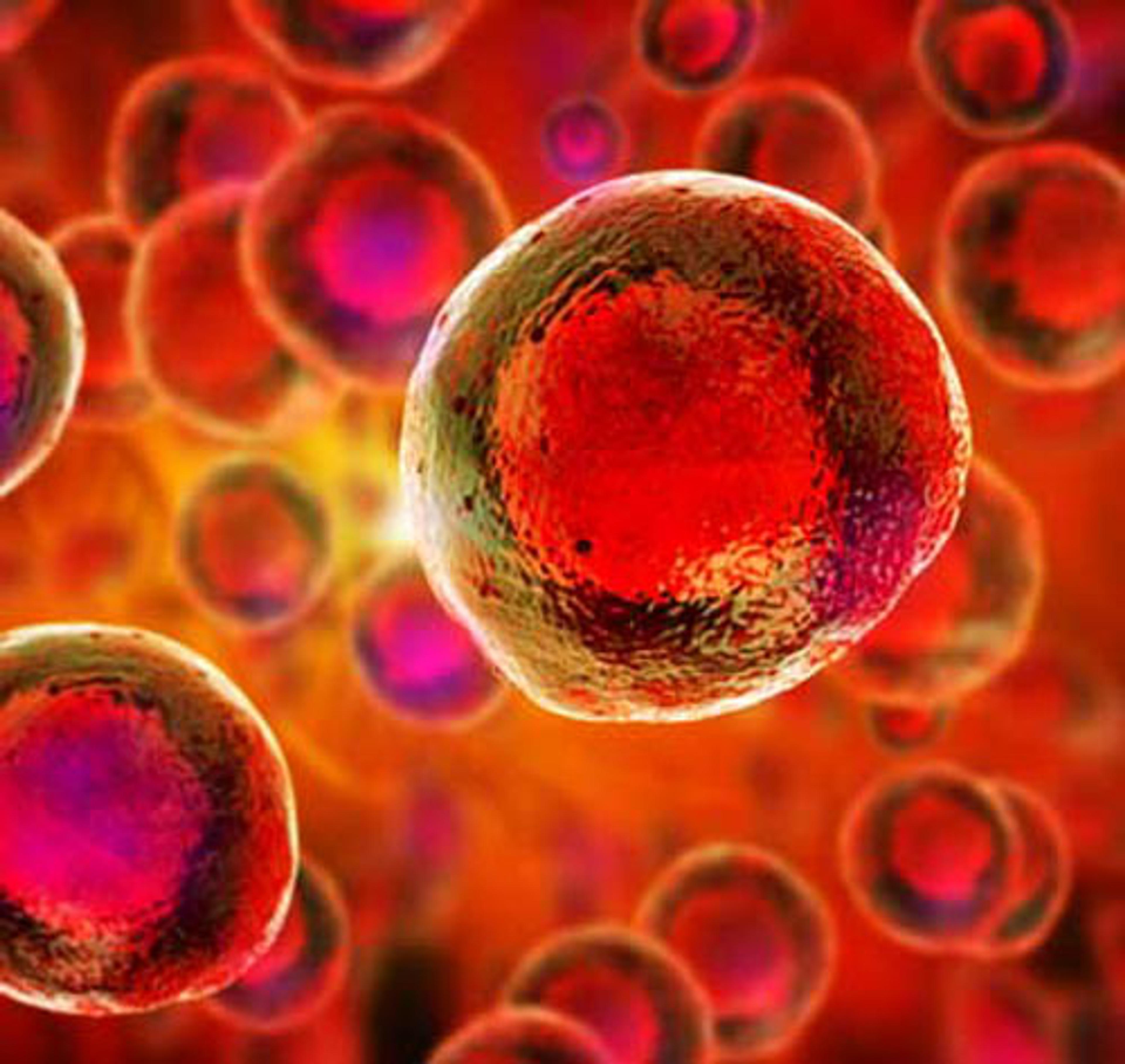 COVID-19 PBMCs - RayBiotech Inc. - Life Sciences