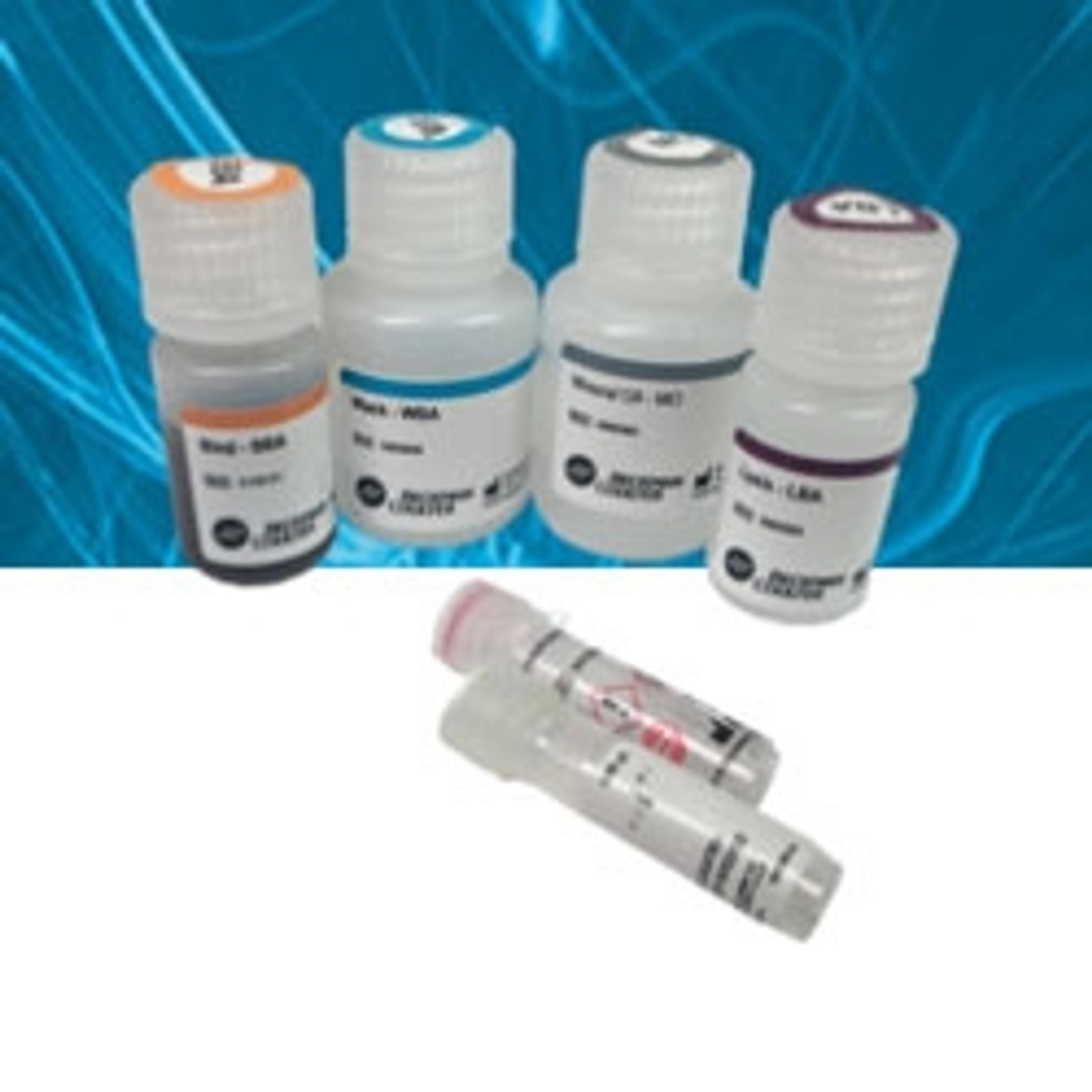 FormaPure DNA - Beckman Coulter Life Sciences - Life Sciences