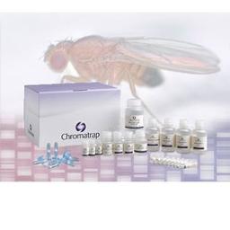 Chromatrap® Drosophila UniqSeq Kit - Chromatrap - Life Sciences