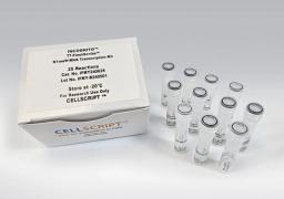 INCOGNITO™ T7-FlashScribe™ N1meΨ-RNA Transcription Kit - CELLSCRIPT™ - Life Sciences