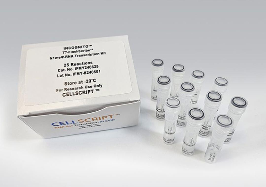 INCOGNITO™ T7-FlashScribe™ N1meΨ-RNA Transcription Kit - CELLSCRIPT™ - Life Sciences