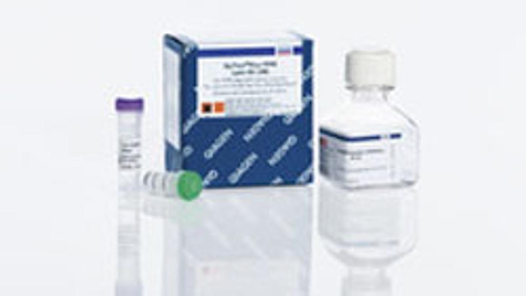 EpiTect Plus DNA Bisulfite Kit - QIAGEN
