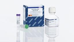 EpiTect Plus DNA Bisulfite Kit - QIAGEN