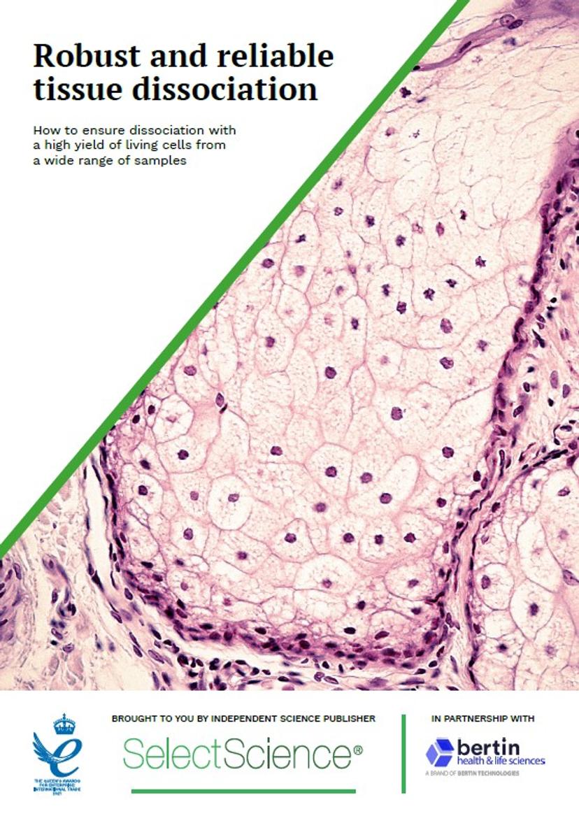 Bertin tissue dissociation eBook